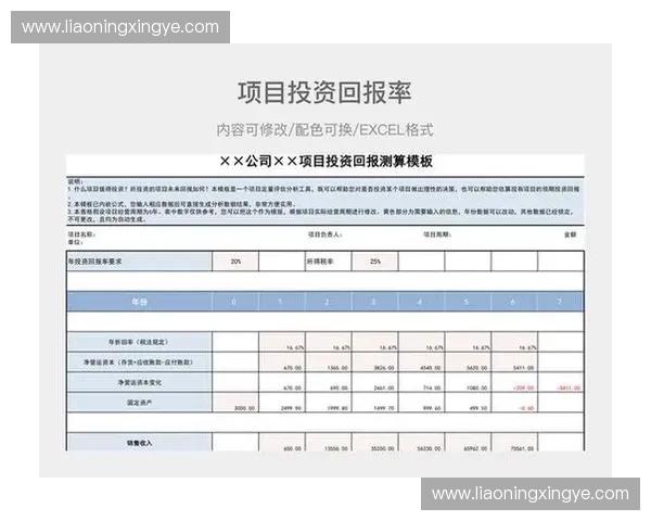 体育产业投资回报率分析与提升策略研究
